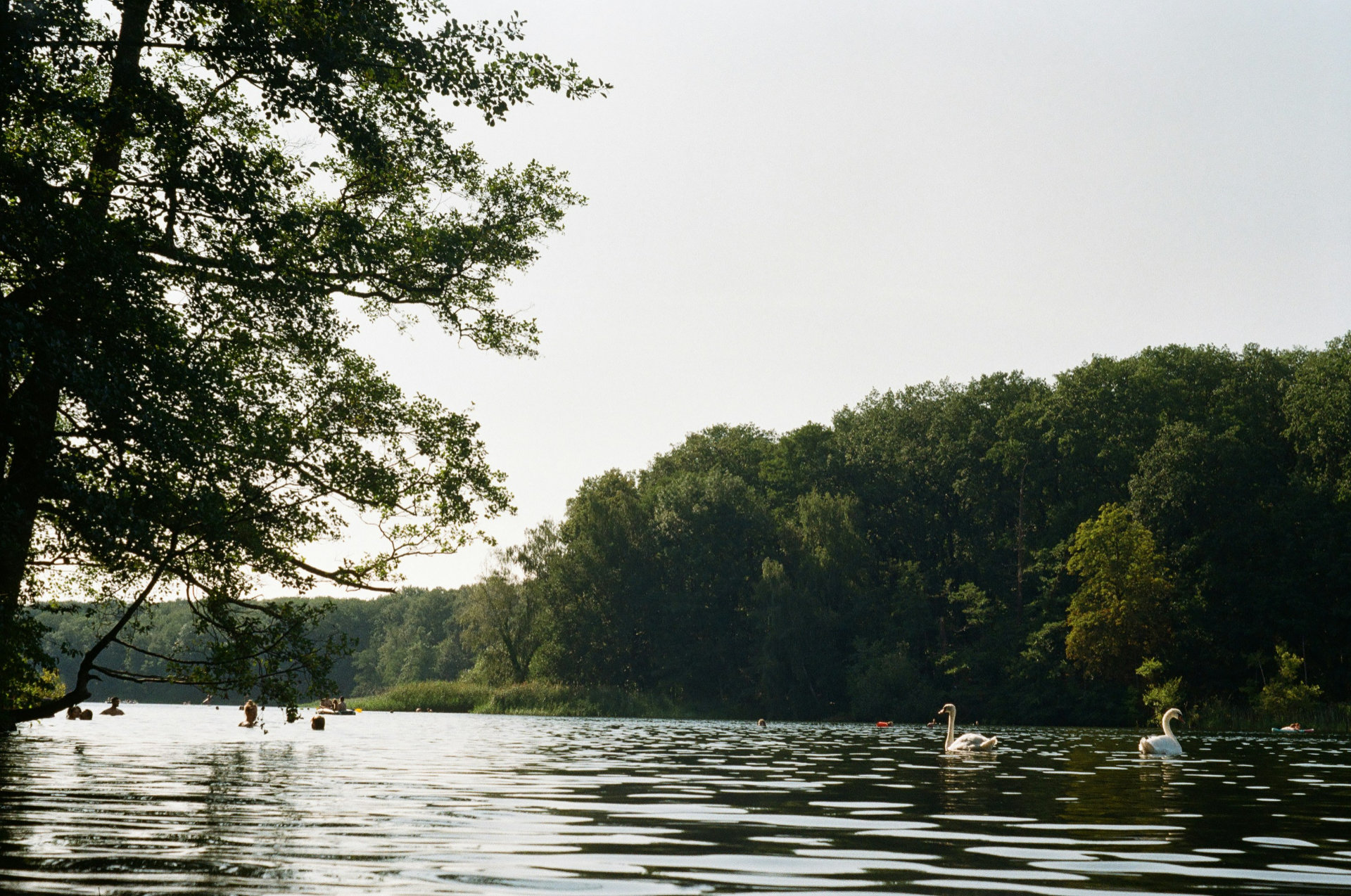 Mecklenburgische Seenplatte